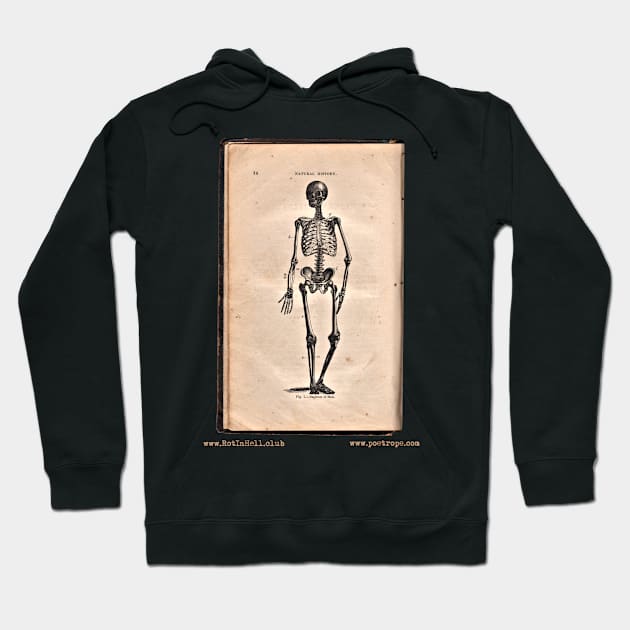 “HUMAN SKELETON” – HOOKER’S NATURAL HISTORY (1874) Hoodie by Rot In Hell Club